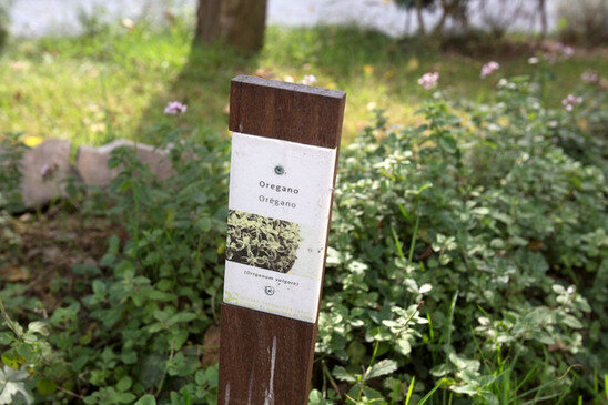 Vegetable garden